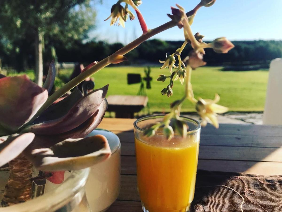 Olive Grove Guest Farm Villa Beaufort West Luaran gambar