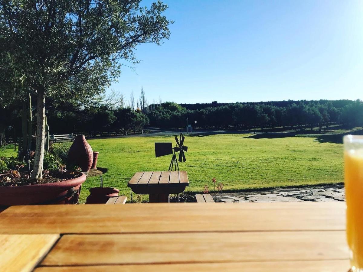 Olive Grove Guest Farm Villa Beaufort West Luaran gambar