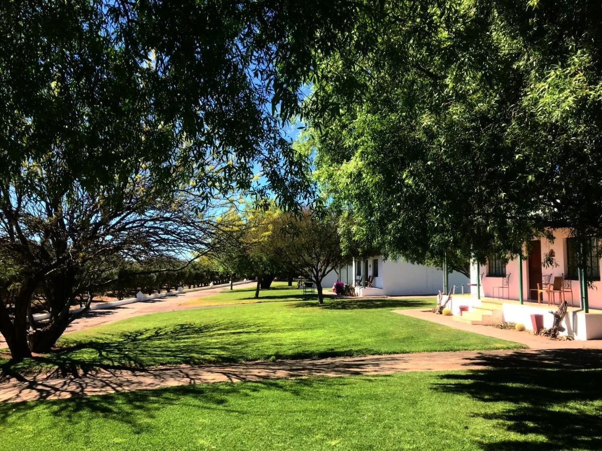 Olive Grove Guest Farm Villa Beaufort West Luaran gambar