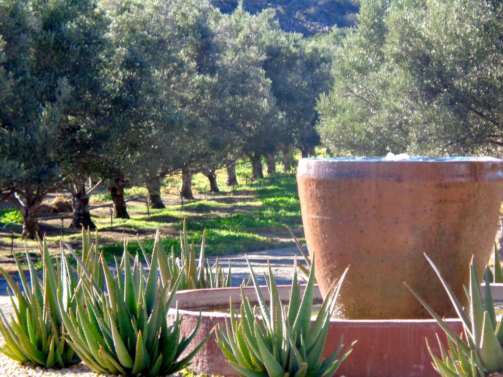 Olive Grove Guest Farm Villa Beaufort West Luaran gambar