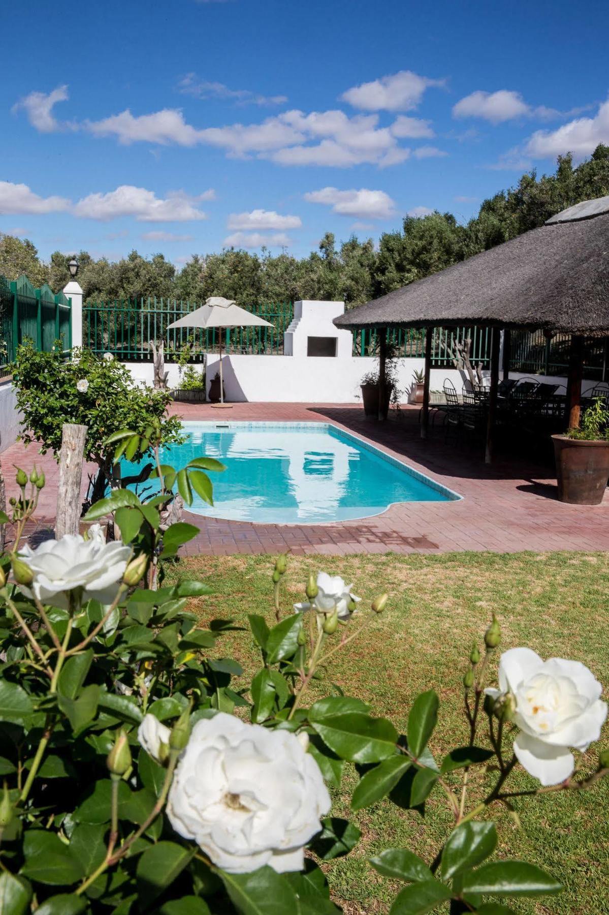 Olive Grove Guest Farm Villa Beaufort West Luaran gambar